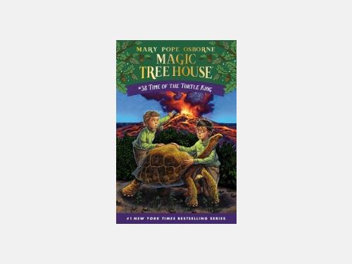 Event image for Magic Tree House Book Group (O'Connell/Virtual)