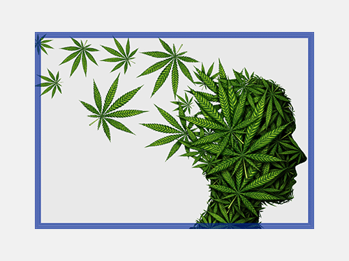 Event image for Marijauna and Psychosis: What are the Facts? (Main)