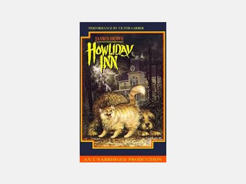 Event image for Middle Grade Mystery Book Group (O'Connell/Virtual)