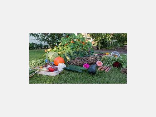 Event image for CPL Nature Club: Seed, Plant and Garden Swap (O'Neill)