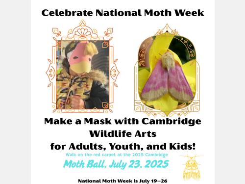 Event image for CPL Nature Club: Moth Ball Mask Making (Collins)