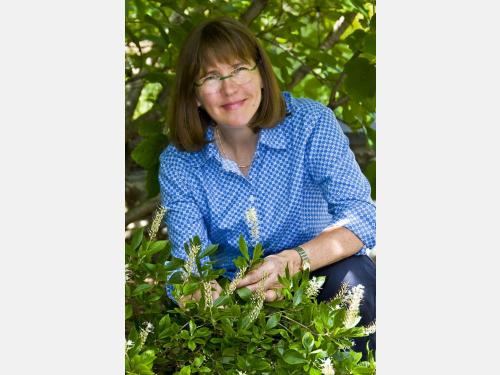 Event image for Grow Native Massachusetts Evening with Experts: Kim Eierman Presents The Pollinator Victory Garden (Main)