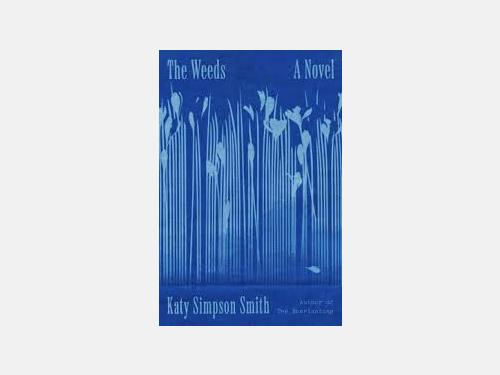 Event image for Collins Branch Book Club (Collins//Virtual)