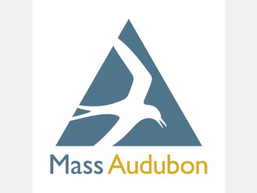 Event image for Animal Ambassadors with Mass Audubon (O'Connell)