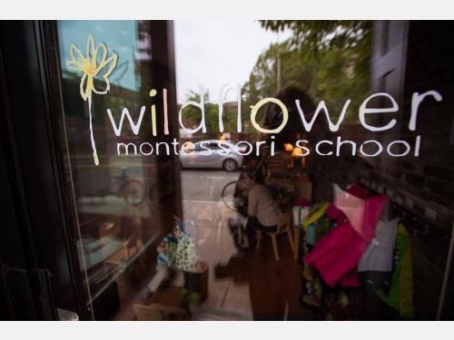 Image of Wildflower Montessori School Program  program