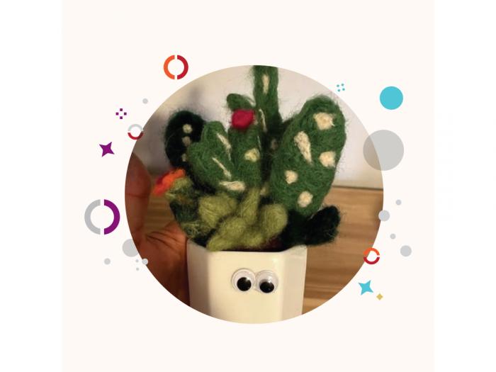 Green plant made out wool on a white planter with 2 wiggle sticker eyes on it.