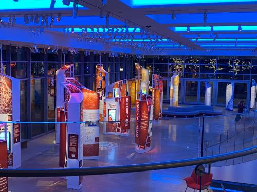 Exhibits in white, yellow, orange, red, and blue colors lit up via spotlighting at night time view of Broad Discovery Center. 