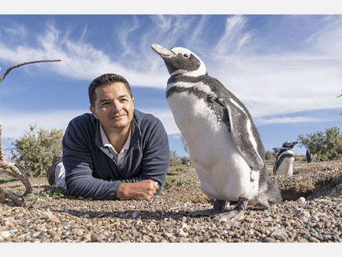 a man in a navy pullover laying on the ground looking at a penguin in the foreground