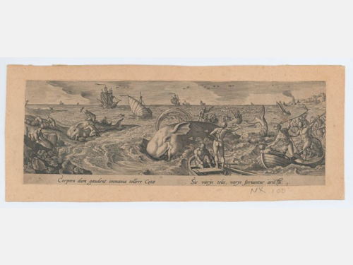 An antique engraving depicting an intense ocean scene of whalers battling a giant sea creature resembling a whale with exaggerated, monstrous features. The ocean churns with activity as several small boats filled with figures wielding spears and harpoons surround the beast. Ships sail in the background under a cloudy sky, and other sea creatures thrash in the water. Latin text is inscribed below the image, and the print has a beige border with signs of aging.