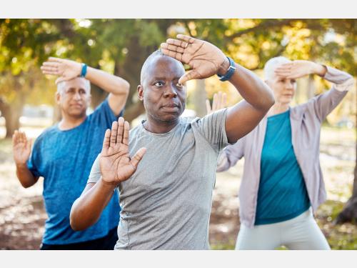 Older Adults practicing Tai Chi  