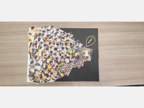 An example of an AI Collage