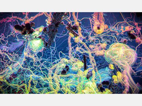 An example of Plankton Painting photography by artist Jess Holz