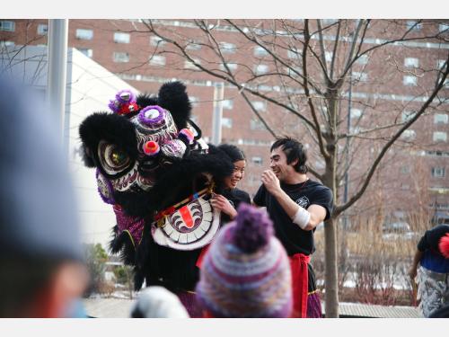 Lion Dance at the 2025 Lunar New Year