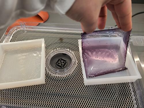 A photo of a hydrogel being created in our Learning Labs