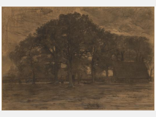 This landscape drawing in brown tones shows a grove of trees.