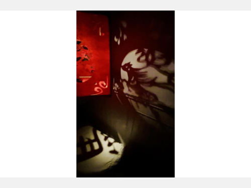 A partial view of a glowing red lantern that casts shadows of intricately cut designs, including a horse.