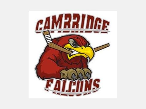 A fierce falcon (predatory bird) biting a hockey stick in half in its beak.  The word Cambridge is on top and Falcons on the bottom.