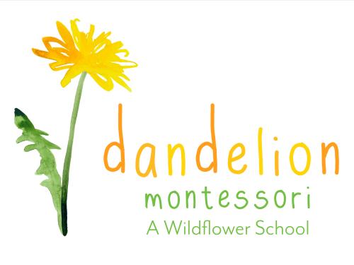 hand drawing of dandelion with the name of school, Dandelion Montessori