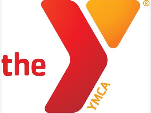 Y Logo