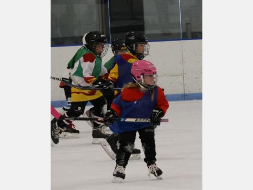 Happy kid playing hockey