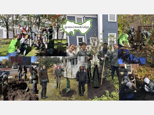 Collage of photos with Canopy Crew Members planting trees