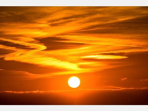 Event image for Climate Action Book Club (Collins)