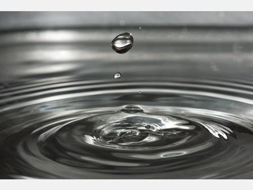 Event image for Climate Action Book Club (Collins)